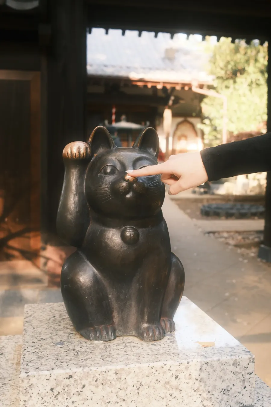 A hand reaching to touch a black cat statue.
