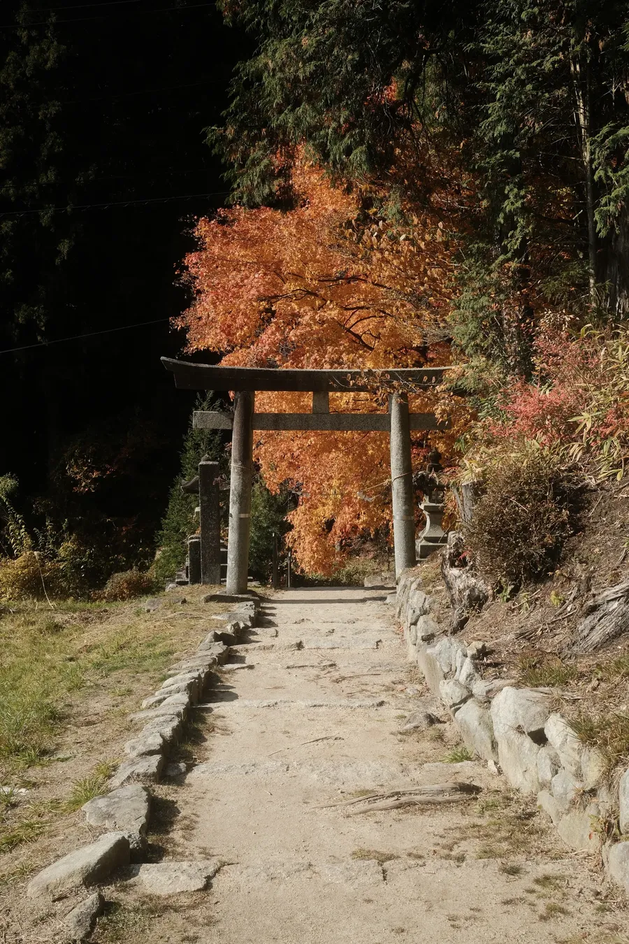 A torii gate on a path in autumn.