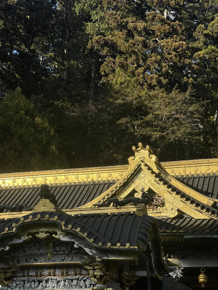 A temple roof under the trees.