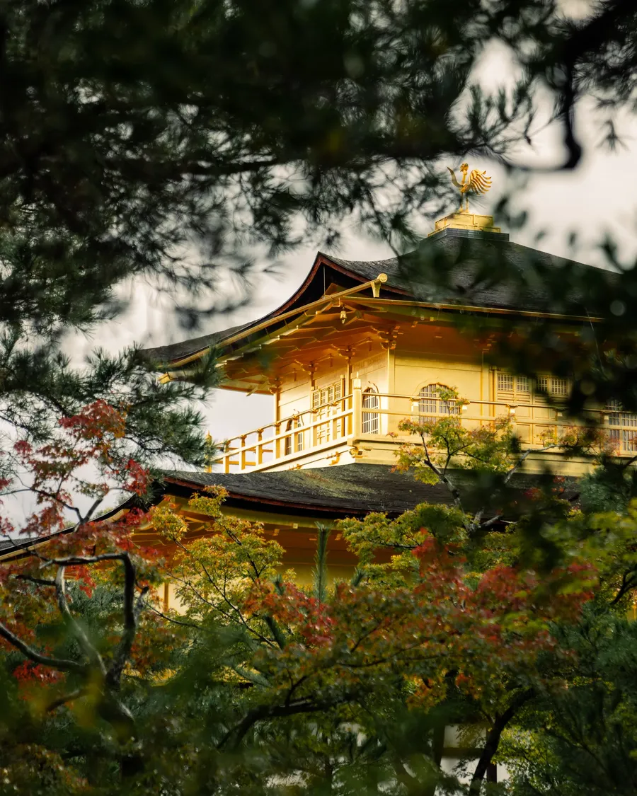 A gold temple hall among trees.