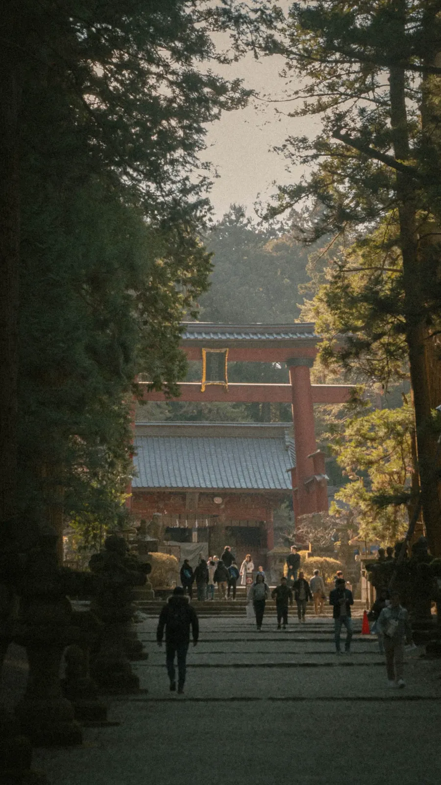 People on a path through a forest shrine.
