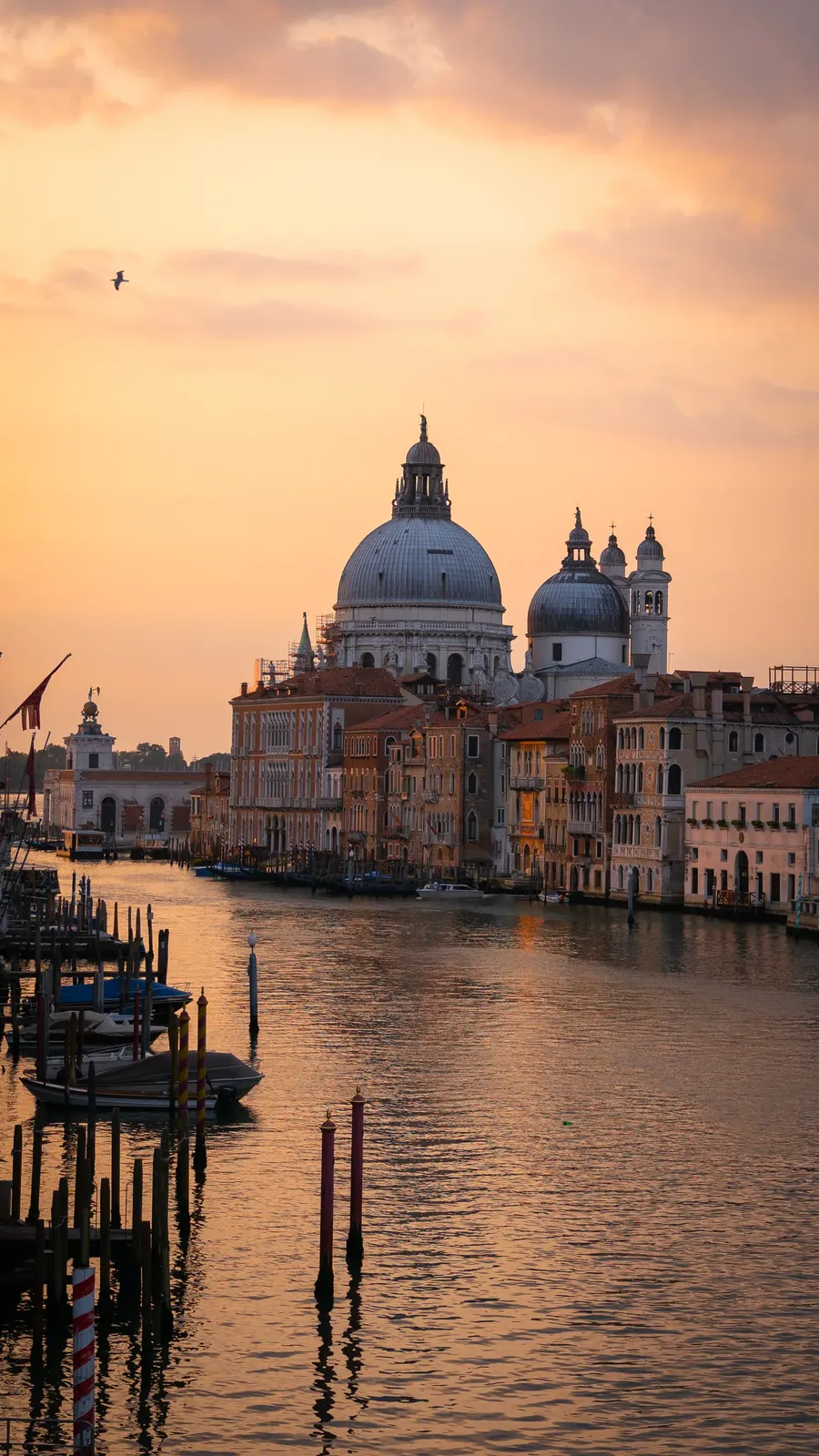 Santa Maria della Salute at sunrise, across the water.